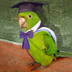 The Teachers’ Day - Dzień Nauczyciela. Korepetycje Angielski Wrocław